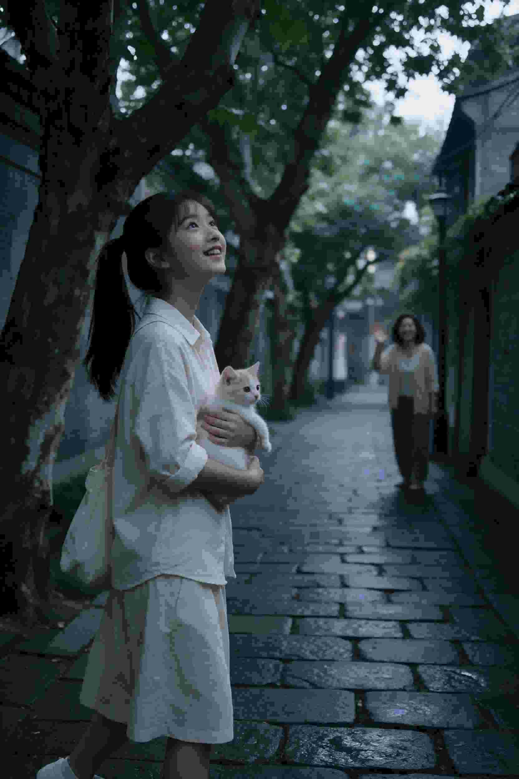 魔法少女小圆